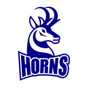 pronghorns