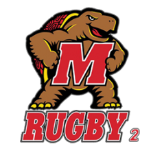 Rugby Maryland turtles