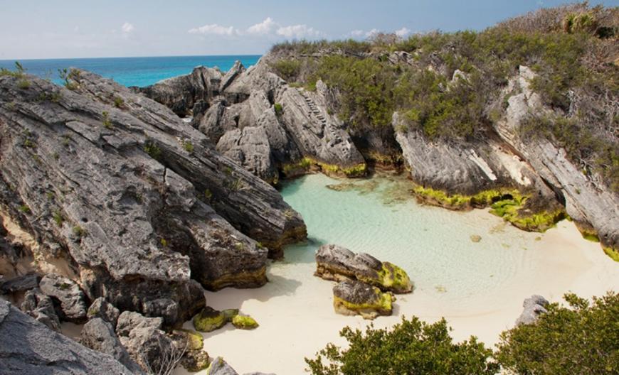 Go Swimming at Jobson's Cove Jobson's Cove in Bermuda